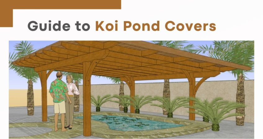 Guide to Koi Pond Covers